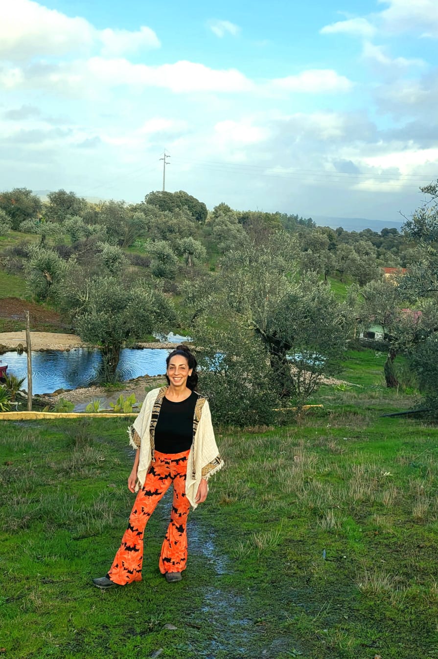 Olive grove at Majuma Valley